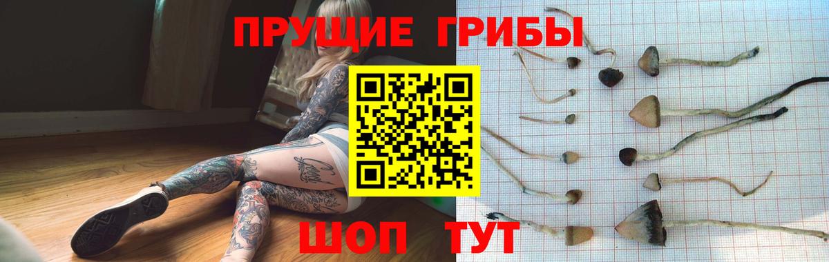 Уварово  продажа наркотиков  Вход с VPN  Псилоцибиновые грибы Cubensis 